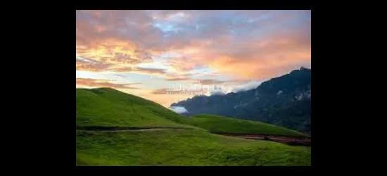 بسشييييييييييييييييي